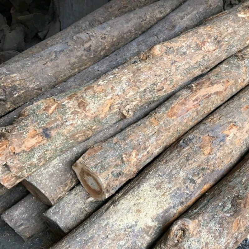 求购楠木香楠