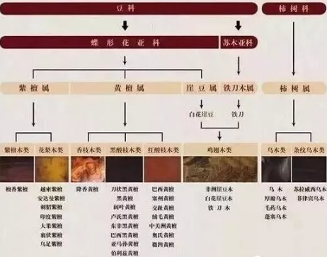 海南黄花梨和草花梨有什么区别呢？