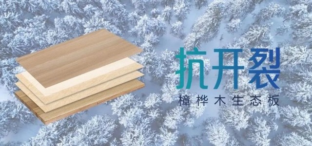 专为北方复杂环境而生-樟桦木抗开裂生态板