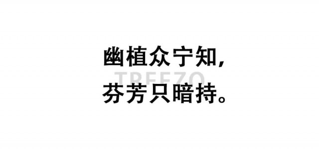 山东济宁店，把「春日暖阳」装进家！