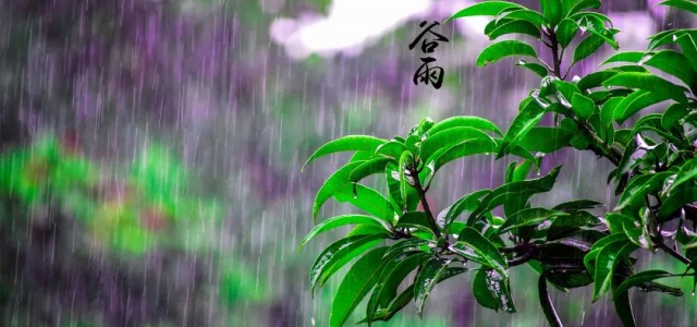 谷雨丨清风细雨润万物，安氏亚森板材让家尽情呼吸